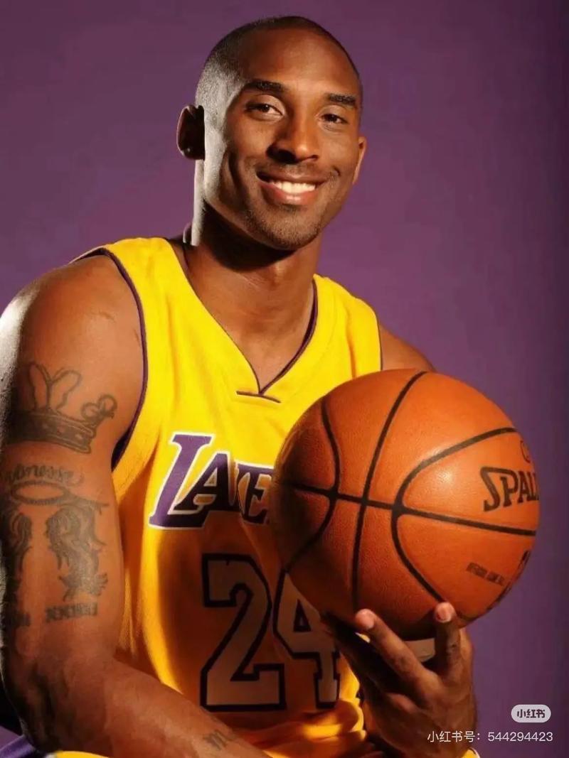 更舒适的 更舒适的